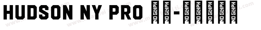 Hudson NY Pro 字体字体转换